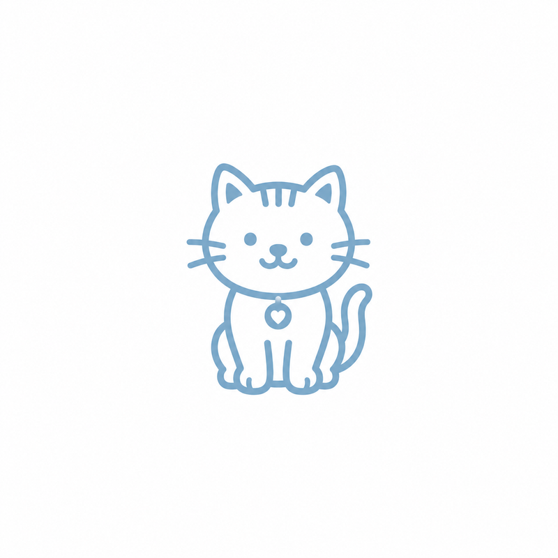 CAT TOY