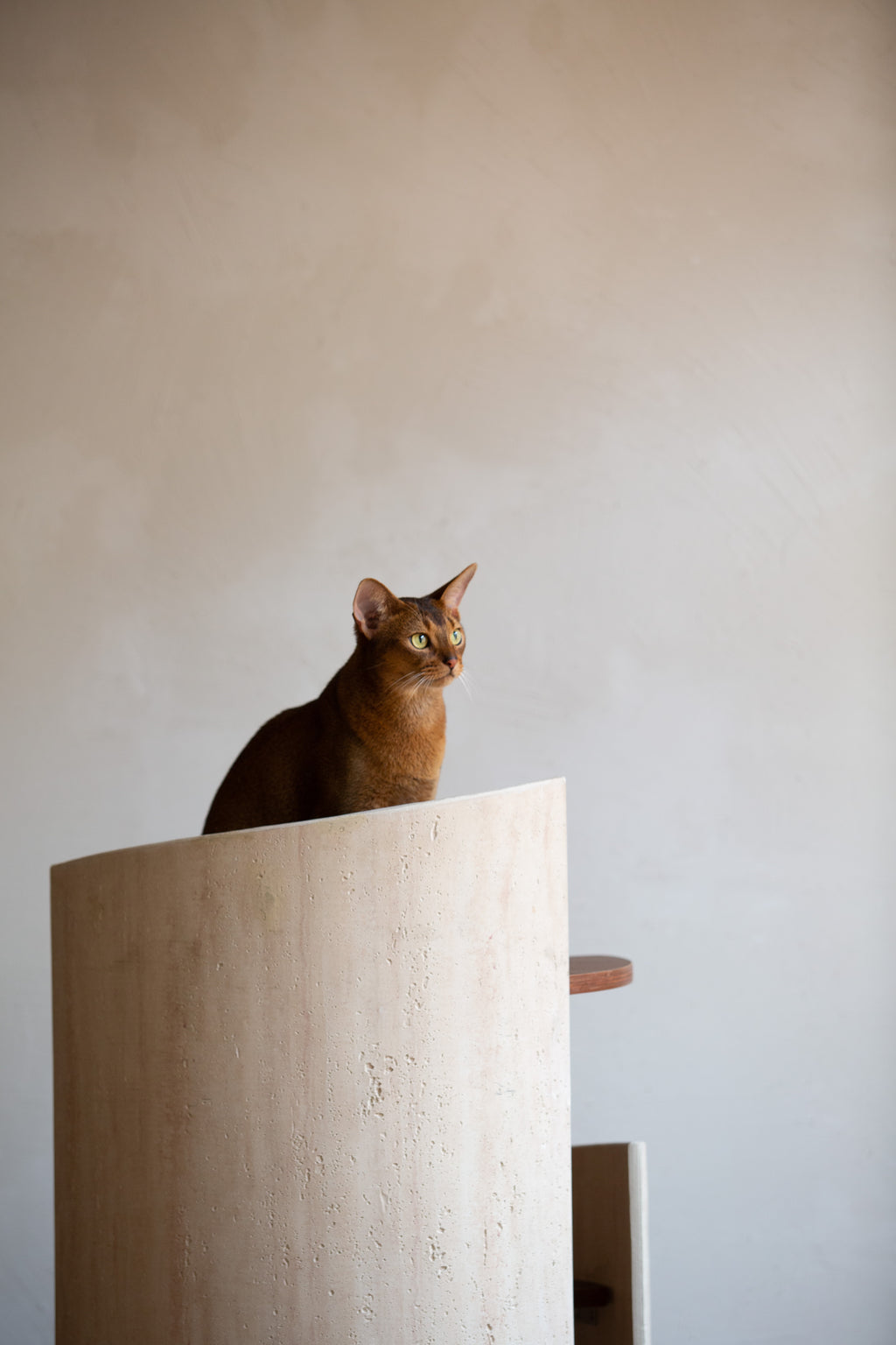 Hoppa Cat Tree