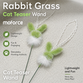 Fluffy Cat Teaser