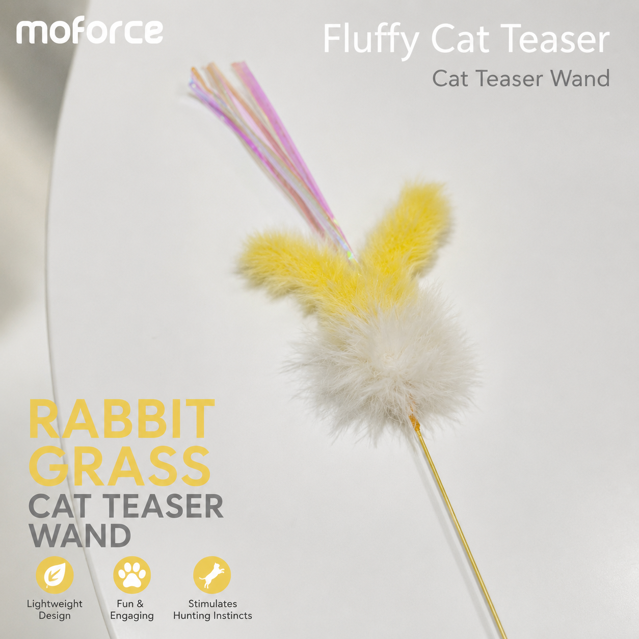 Fluffy Cat Teaser