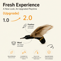 Feather Moth