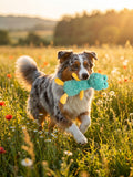 Crocodile Squeaky Plush Dog Toy