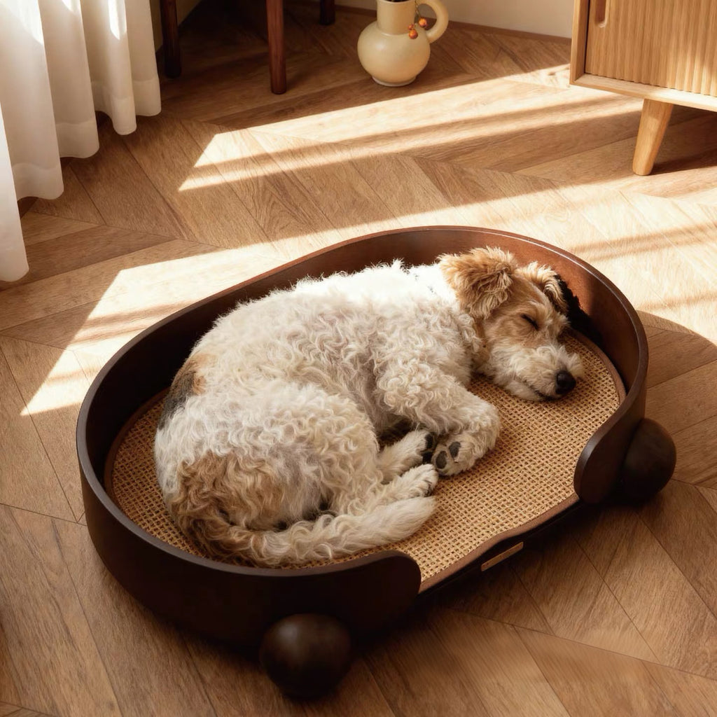 Hug Bed Plus