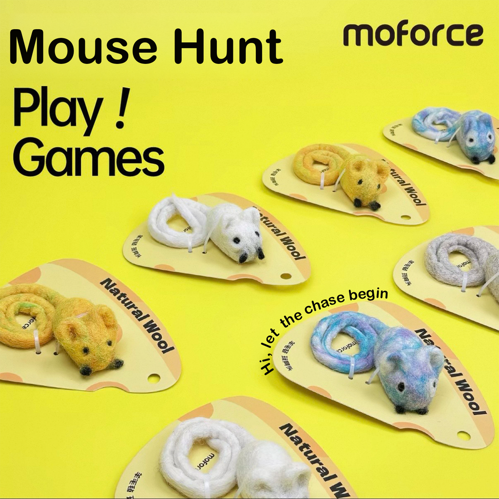 Wool Mouse Hunt