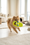 Slipper Monster