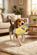 Sock Monster